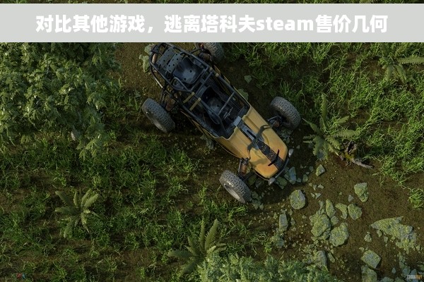 对比其他游戏，逃离塔科夫steam售价几何