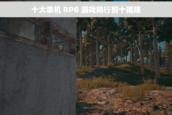 十大单机 RPG 游戏排行前十揭晓