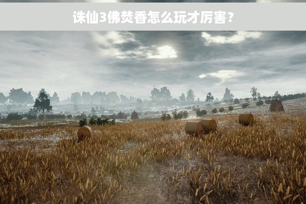 诛仙3佛焚香怎么玩才厉害？