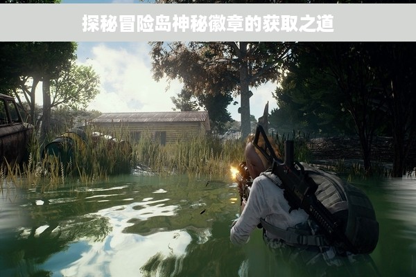 探秘冒险岛神秘徽章的获取之道