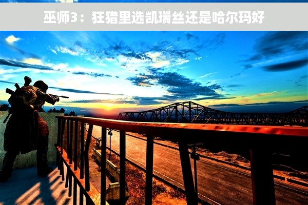 巫师3：狂猎里选凯瑞丝还是哈尔玛好