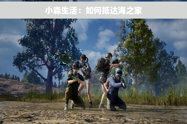 小森生活：如何抵达海之家