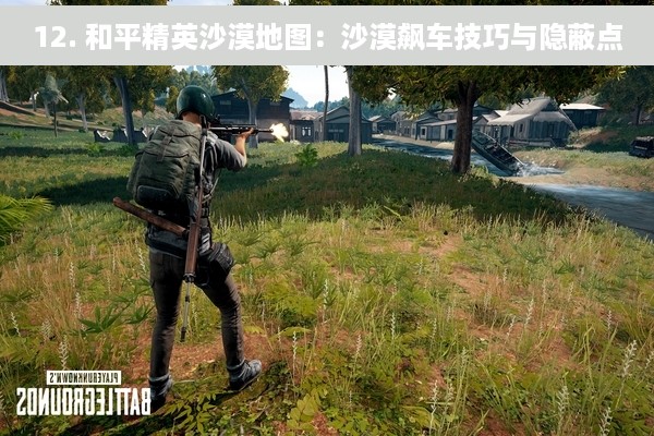 12. 和平精英沙漠地图：沙漠飙车技巧与隐蔽点