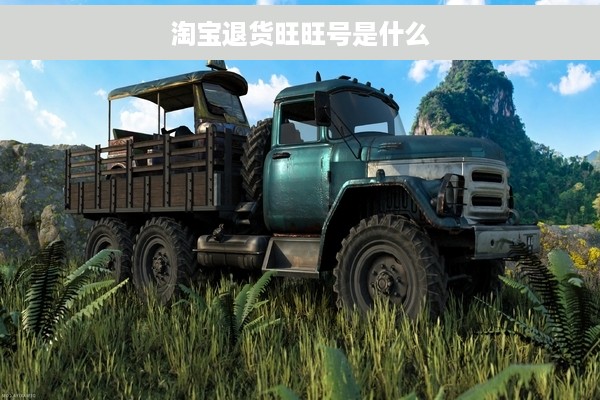 淘宝退货旺旺号是什么