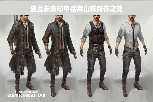 盗墓长生印中岳嵩山珠所在之处