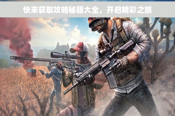 快来获取攻略秘籍大全，开启精彩之旅