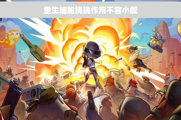 重生细胞挠挠作用不容小觑