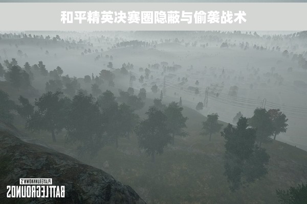 和平精英决赛圈隐蔽与偷袭战术