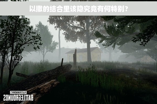 以撒的结合里该隐究竟有何特别？