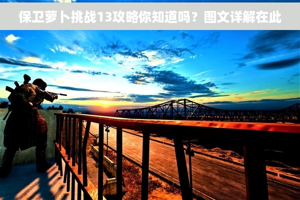 保卫萝卜挑战13攻略你知道吗？图文详解在此