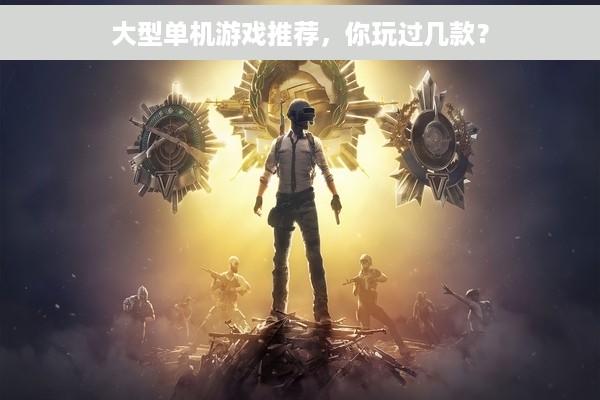 大型单机游戏推荐，你玩过几款？