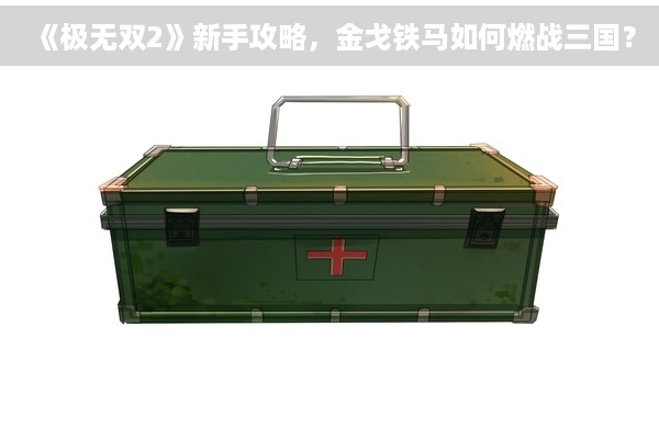 《极无双2》新手攻略，金戈铁马如何燃战三国？