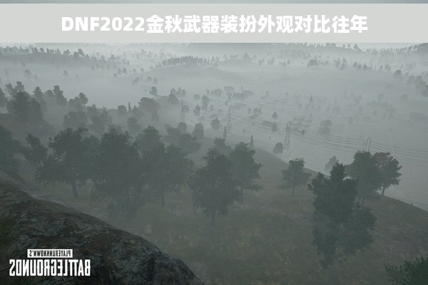 DNF2022金秋武器装扮外观对比往年