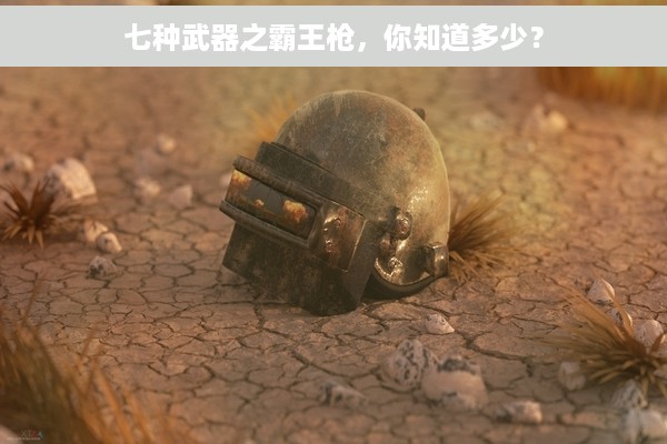 七种武器之霸王枪，你知道多少？