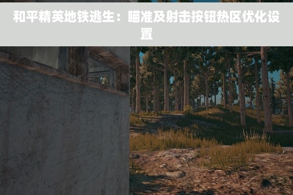 和平精英地铁逃生：瞄准及射击按钮热区优化设置