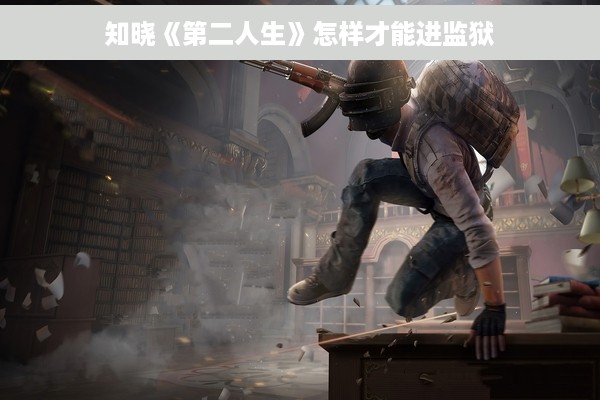 知晓《第二人生》怎样才能进监狱