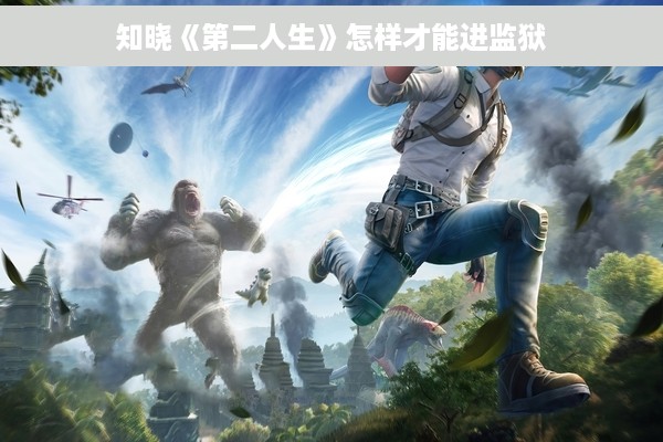 知晓《第二人生》怎样才能进监狱