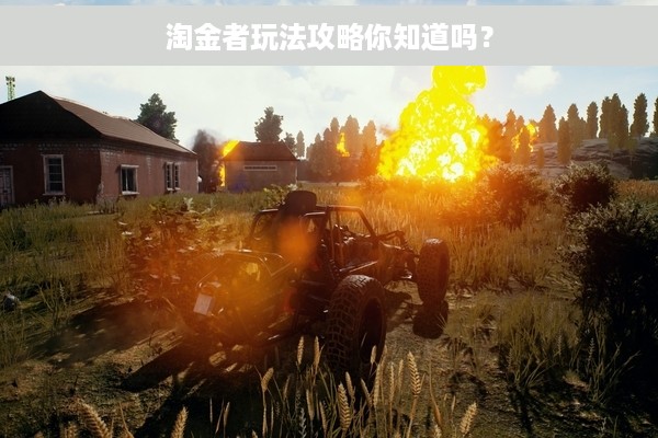 淘金者玩法攻略你知道吗？