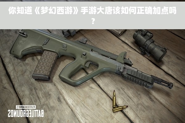 你知道《梦幻西游》手游大唐该如何正确加点吗？