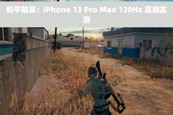 和平精英：iPhone 13 Pro Max 120Hz 高刷实测