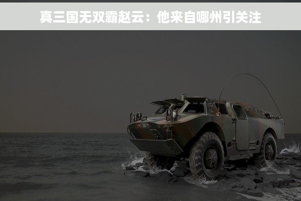 真三国无双霸赵云：他来自哪州引关注