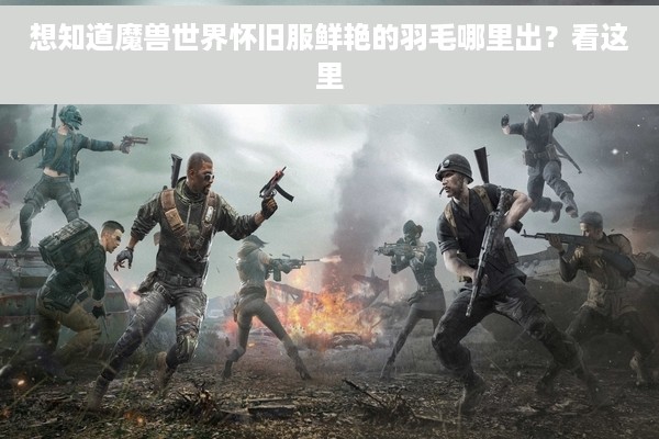 想知道魔兽世界怀旧服鲜艳的羽毛哪里出？看这里