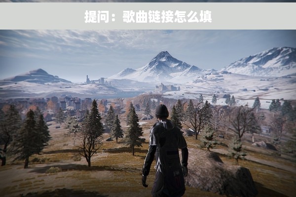 提问：歌曲链接怎么填