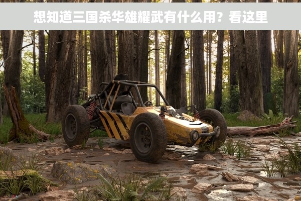 想知道三国杀华雄耀武有什么用？看这里