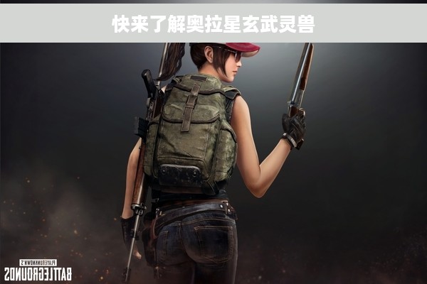 快来了解奥拉星玄武灵兽