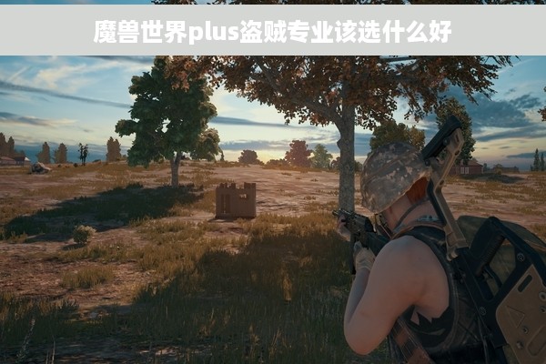 魔兽世界plus盗贼专业该选什么好