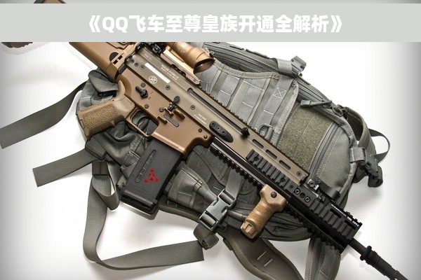《QQ飞车至尊皇族开通全解析》