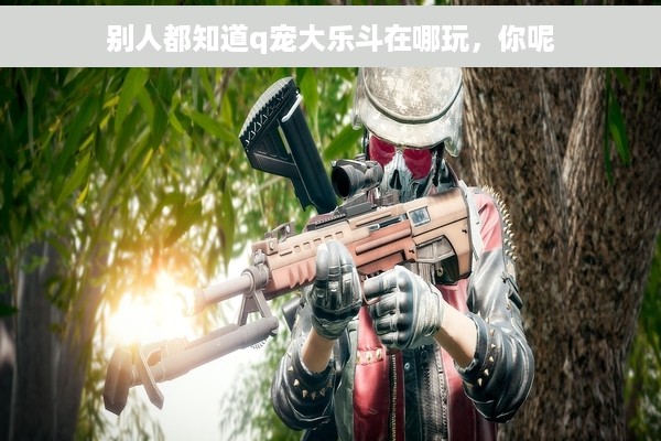 别人都知道q宠大乐斗在哪玩，你呢