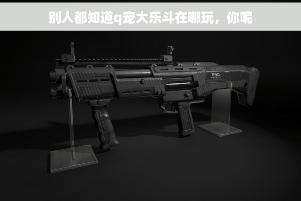 别人都知道q宠大乐斗在哪玩，你呢