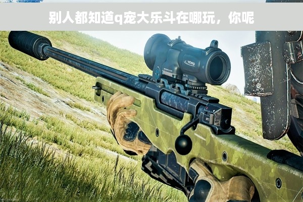 别人都知道q宠大乐斗在哪玩，你呢
