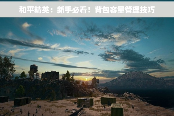 和平精英：新手必看！背包容量管理技巧
