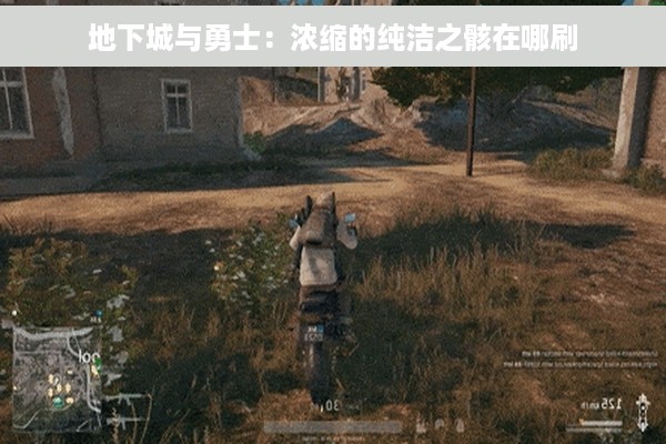 地下城与勇士：浓缩的纯洁之骸在哪刷