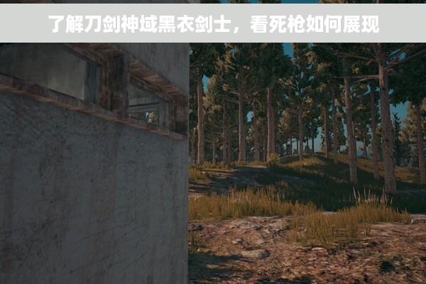 了解刀剑神域黑衣剑士，看死枪如何展现