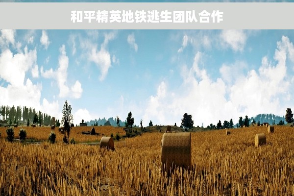 和平精英地铁逃生团队合作