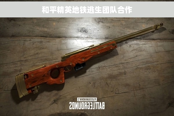 和平精英地铁逃生团队合作