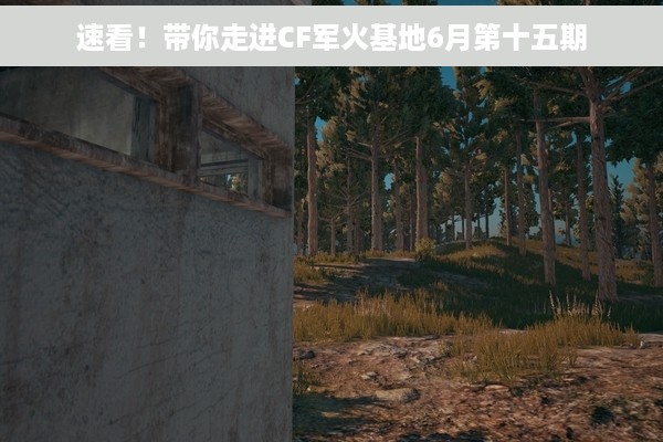 速看！带你走进CF军火基地6月第十五期