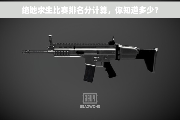绝地求生比赛排名分计算，你知道多少？