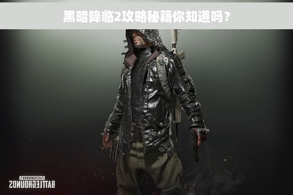 黑暗降临2攻略秘籍你知道吗？