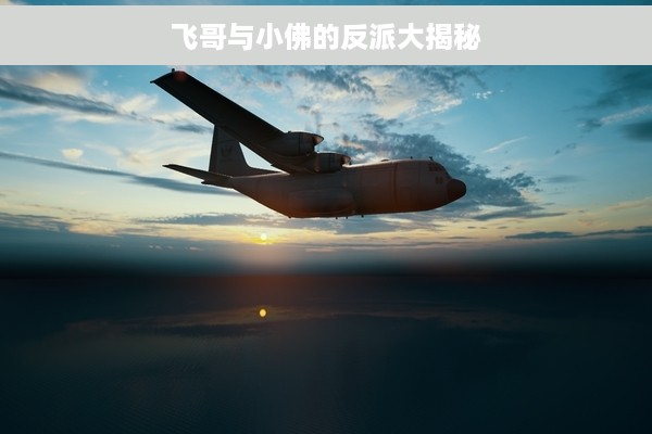 飞哥与小佛的反派大揭秘