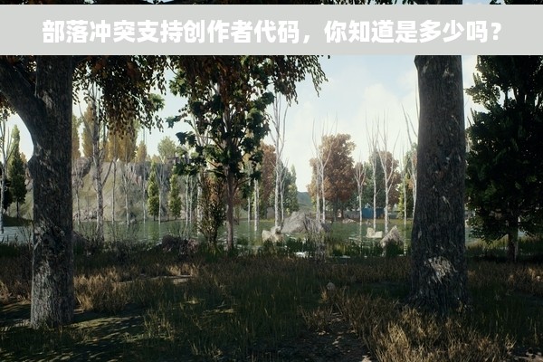 部落冲突支持创作者代码，你知道是多少吗？