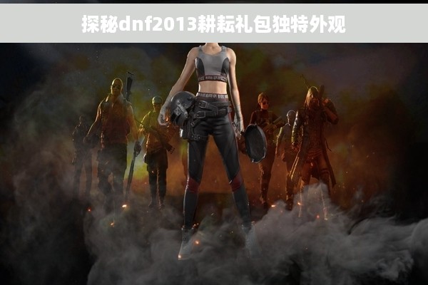 探秘dnf2013耕耘礼包独特外观