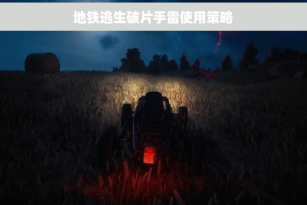 地铁逃生破片手雷使用策略