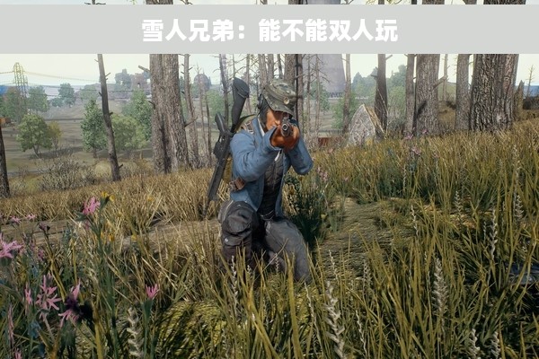 雪人兄弟：能不能双人玩