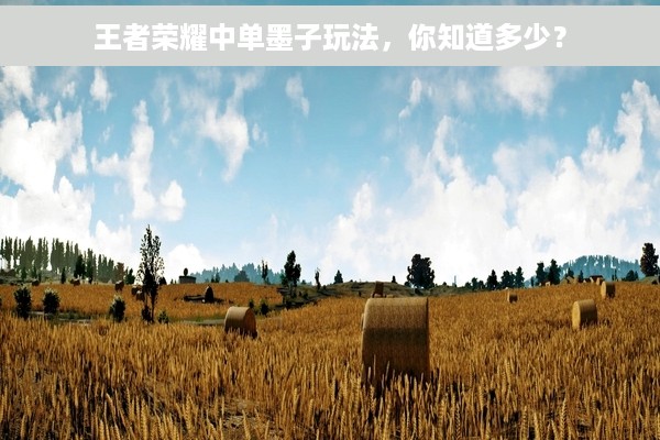 王者荣耀中单墨子玩法，你知道多少？