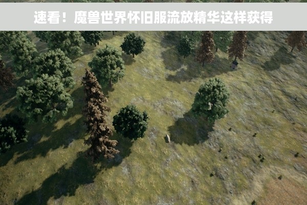 速看！魔兽世界怀旧服流放精华这样获得