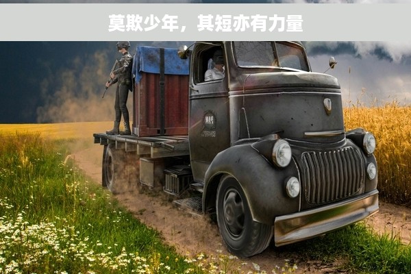 莫欺少年，其短亦有力量